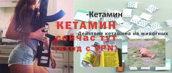 прущие грибы Слюдянка