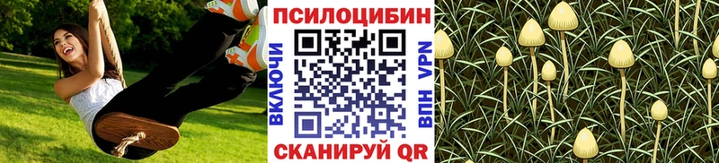 kraken   Сольвычегодск  Галлюциногенные грибы GOLDEN TEACHER  купить  